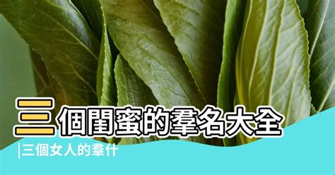 可以取什麼網名|【網路名稱大全】